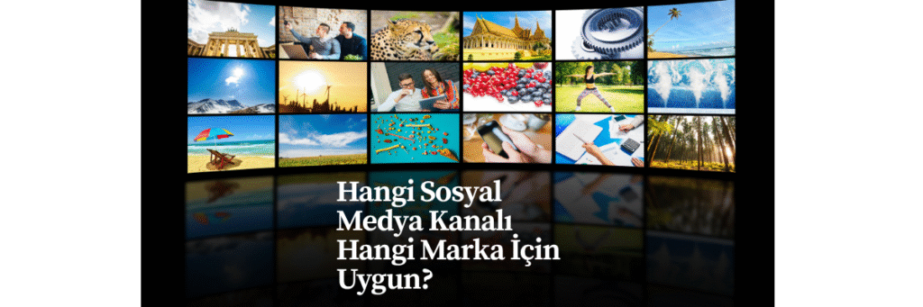 Hangi Sosyal Medya Kanalı Hangi Marka İçin Uygun?